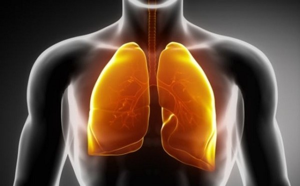 Natural Ways to Cleanse Your Lungs of Toxins If You Are a Smoker