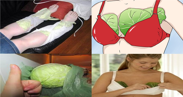 Put Cabbage Leaves Onto Your Chest and Legs Before You go to Sleep if you Experience Frequent Headaches-the Next Morning You Will Feel Healthier Than Ever!