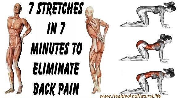 7 Stretches in 7 Minutes To Eliminate Back Pain (VIDEO)